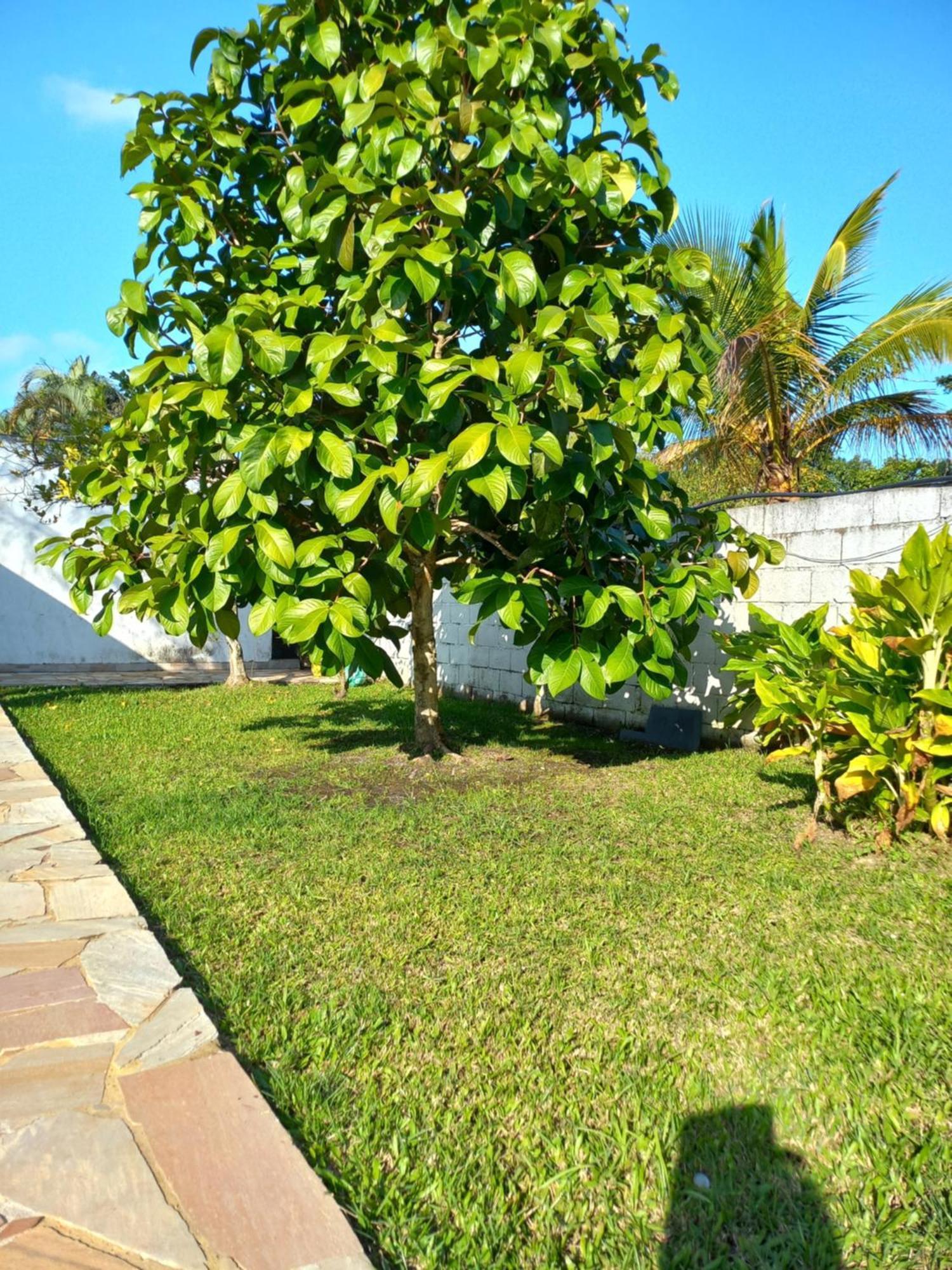 Chacara Sitio Casa Peruibe Praia 외부 사진
